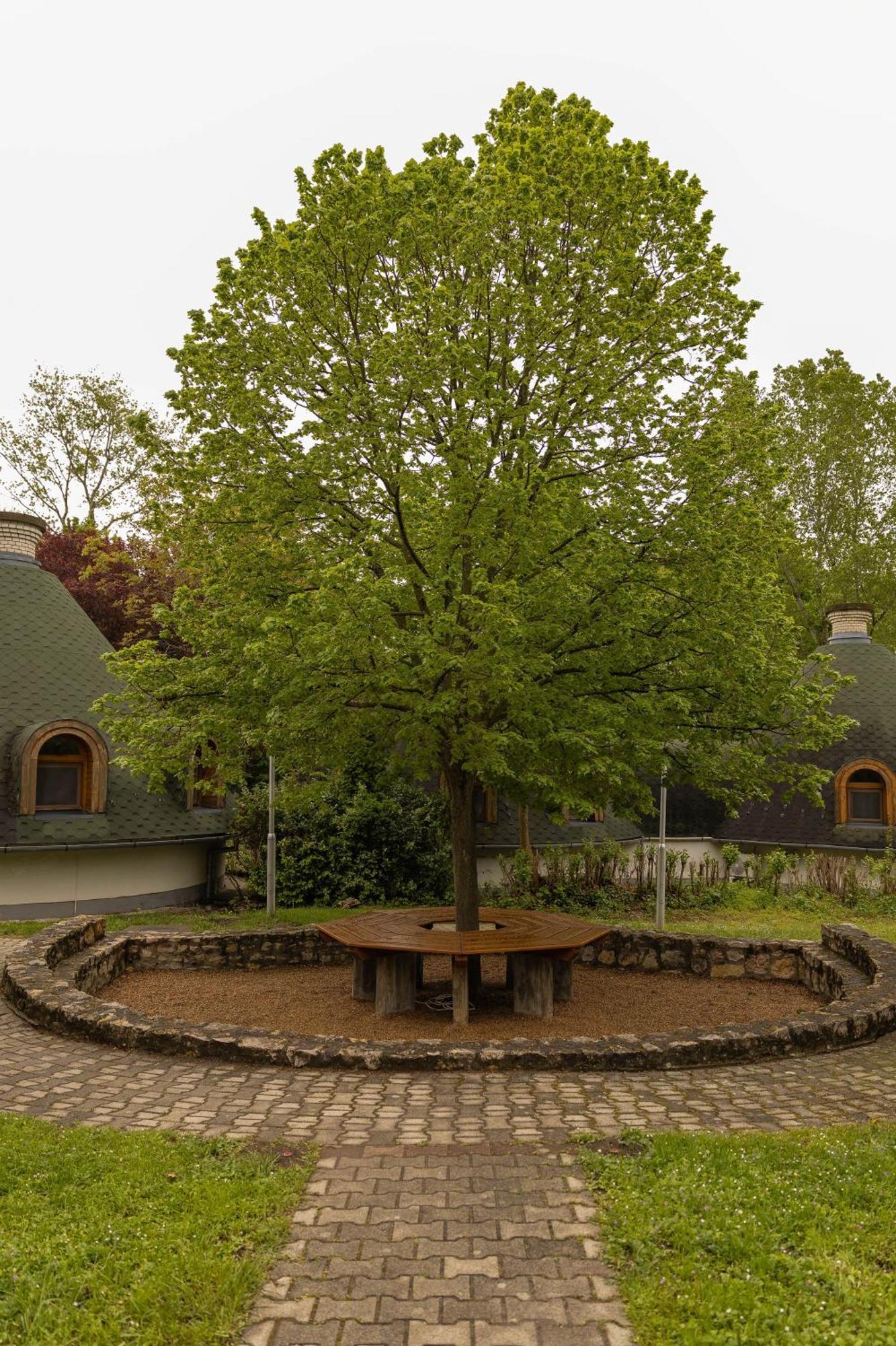 Gesztenye Nyaralopark Balatonudvari Buitenkant foto